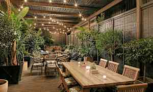 En udendørs terrasse med træbord, kurvestole og omkringliggende grønne planter. Loftet er pyntet med lyskæder. (AI-genereret tekst)
