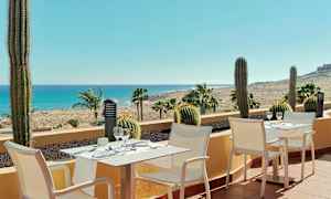 En terrasse med hvide stole og små borde, dekoreret med kaktusser og udsigt over palmer, sand og hav. (AI-genereret tekst)