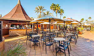 En udendørsrestaurant med borde, stole og parasoller. Der er en bar med et tag i baggrunden samt omkringliggende palmer. (AI-genereret tekst)
