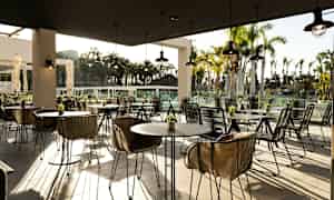 Udendørs servering med moderne møbler, omgivet af palmer. (AI-genereret tekst)