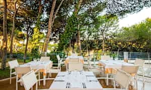 Et udendørs område med borde og stole under høje træer, dækket til middag. (AI-genereret tekst)
