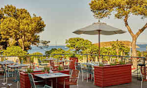 En terrasse restaurant med udsigt over havet og fyrretræsskov. (AI-genereret tekst)