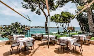 Udendørs servering med borde og stole, omgivet af træer og med udsigt over havet. (AI-genereret tekst)