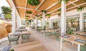 Udendørsrestaurant med borde og stole under et tag med grønne planter. (AI-genereret tekst)