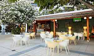 En udendørsservering med moderne stole og borde under et tag. En stor blomstrende busk står ved siden af. (AI-genereret tekst)