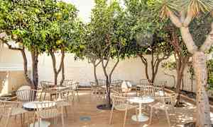 Udendørsmøbler under træer i en udendørs omgivelser. (AI-genereret tekst)