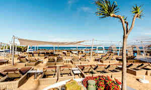 Udendørsområde med liggestole og parasoller nær havet. Kaktusser og blomster ses i forgrunden. (AI-genereret tekst)