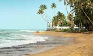 En sandstrand med palmer i baggrunden og havet, der skyller ind over kysten. (AI-genereret tekst)