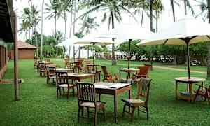 Udendørs serveringsområde med borde og stole på græsplæne, omgivet af palmer. (AI-genereret tekst)