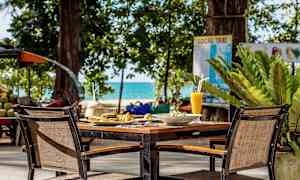 Et opstillet bord med stole udendørs, omgivet af grønne planter og med havet i baggrunden. (AI-genereret tekst)