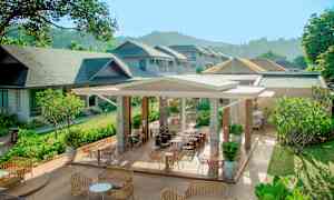 Udendørs serveringsområde med kurvemøbler og frodige omgivelser. (AI-genereret tekst)