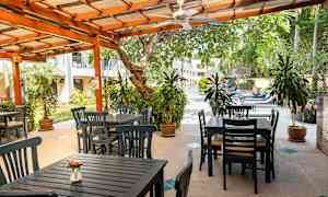 Udendørs område med træmøbler og planter ved en pool. (AI-genereret tekst)