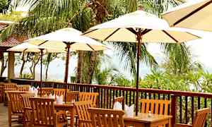 Udendørs servering med træborde og stole samt store parasoller, omgivet af palmer. (AI-genereret tekst)