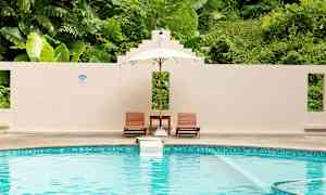 En pool med to liggestole og en parasol foran en væg med frodig grønt i baggrunden. (AI-genereret tekst)