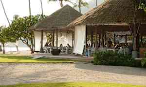 En strandrestaurant med stråtag og åbne siddepladser, omgivet af vegetation og palmer. (AI-genereret tekst)