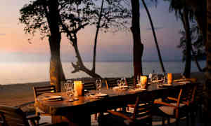 Langbord udendørs på en terrasse ved stranden, omgivet af træer og udsigt over havet i solnedgangen. Bordet er dækket med tallerkener, glas og lyslygter. (AI-genereret tekst)