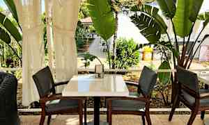 Et bord med to stole udendørs, omgivet af store grønne planter. (AI-genereret tekst)