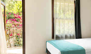 Et lyst værelse med en seng og et åbent vindue med udsigt til en frodig altan med blomster. (AI-genereret tekst)