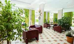 Et indrettet rum med læderstole, grønne planter i potter og grønne gardiner, der lader lys komme ind fra store vinduer. (AI-genereret tekst)