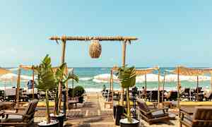 Udsigt over en strand med liggestole og parasoller, og en sti forbi palmeplanter fører mod havet. (AI-genereret tekst)