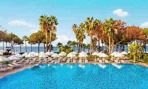 En udendørs pool med liggestole og parasoller omgivet af palmer og træer. (AI-genereret tekst)