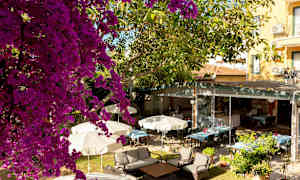 Udendørs område med parasoller, træer og siddeområder. (AI-genereret tekst)