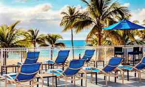 Soldæk med blå liggestole og parasol foran en strand og palmer. (AI-genereret tekst)