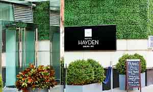 Indgangen til et hotel med et skilt, der siger 'Hotel Hayden Chelsea, NYC', omgivet af planter. (AI-genereret tekst)