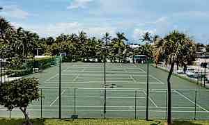 En udendørs tennisbane med grøn farve, omgivet af et hegn og palmer. (AI-genereret tekst)