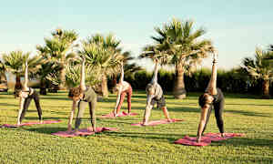 Personer der laver yoga på græsplæne med palmer i baggrunden. (AI-genereret tekst)