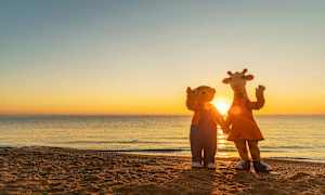To maskotter står på en strand foran en solnedgang, vendt mod kameraet. (AI-genereret tekst)