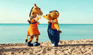 På Sunwing Alcudia Beach kan de yngste gæster deltage i sjove aktiviteter med Lollo & Bernie