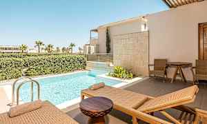 Privat terrasse med udsigt til en lille pool omgivet af grønne planter og palmer. (AI-genereret tekst)