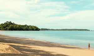 Strand med gyldent sand, roligt blå hav og frodig skov i baggrunden. En person går langs vandkanten. (AI-genereret tekst)