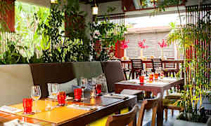 Et indbydende restaurantområde med planter, træborde og dekorative glas. (AI-genereret tekst)