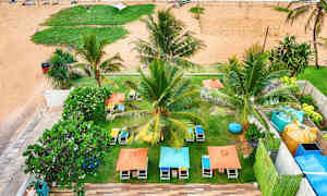 En strand med palmer, liggestole og parasoller. Et poolområde ses i forgrunden. (AI-genereret tekst)