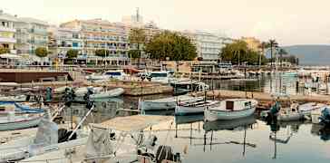 Små både fortøjet ved en havn, med bygninger og palmer i baggrunden. (AI-genereret tekst)