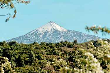 Teide