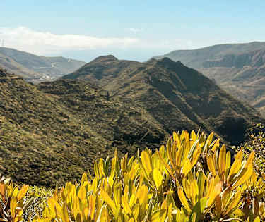 Tag med til La Gomera