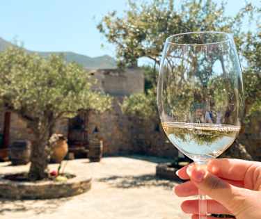 Lokal vin og olivenolie!