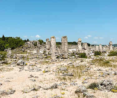 Guldkorn i Bulgarien