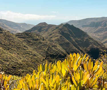 Tag med til La Gomera