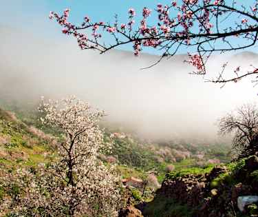Nyd en vandretur i frodig blomsterpragt
