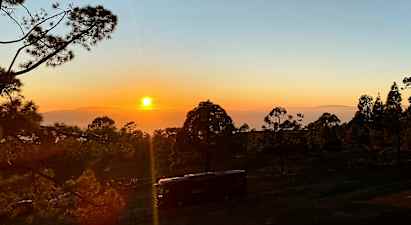 Billede af en solnedgang over en skov med et køretøj i forgrunden. (AI-genereret tekst)