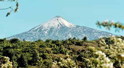 Snedækket bjerg med grønne områder i forgrunden. (AI-genereret tekst)