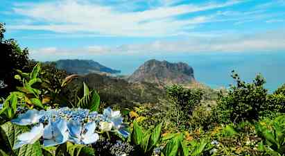 Udsigt over et bjerglandskab med blå himmel og blomster i forgrunden. (AI-genereret tekst)
