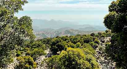 Udsigt over en skovklædt bjergskråning med bjergene i baggrunden. (AI-genereret tekst)