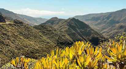 Udsigt over bjergrigt landskab med grøn vegetation og buske i forgrunden. (AI-genereret tekst)