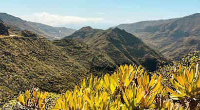 Udsigt over bjergrigt landskab med grøn vegetation og buske i forgrunden. (AI-genereret tekst)