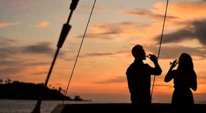 Silhuetter af to personer, der holder glas ved solnedgang med havet og en lille ø i baggrunden. (AI-genereret tekst)